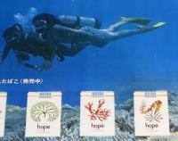 【たばこポスター】楽しさをプレゼント　海の幸をデザインした5色ホープ　昭和42年/B3サイズ