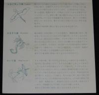 【たばこポスター】五色ホープ　星座　7月1日発売　昭和44年/解説入/おおぐま座/さそり座