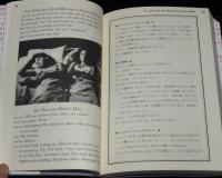 cine-script book　セックスと嘘とビデオテープ　映画と英語を一緒にたのしむ