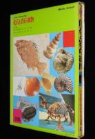 小学館の学習百科図鑑29　化石と岩石・鉱物
