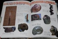 小学館の学習百科図鑑29　化石と岩石・鉱物