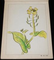 尋常小学図画　第二学年　児童用　草花/親鶏とひよこ/軍艦/兵士