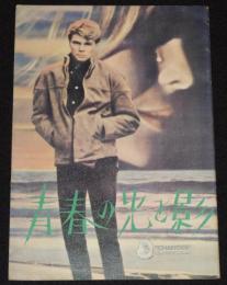 【映画パンフ】青春の光と影　1969年公開時パンフ/ケント・レイン/ミシェル・ケーリー