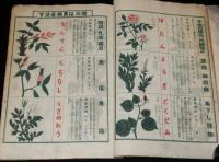 家庭宝鑑　実験薬草　弘法大師の霊薬　難あり