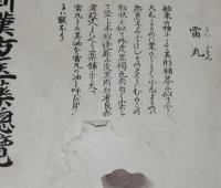 新漢方医薬総覧　雷丸/呼吸器病/神経病/婦人科　表紙難あり