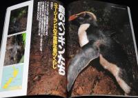 96アニマ 動物写真の世界　大アマゾン 巨大昆虫/ラパ・ヌイ イースター島/森のペンギン
