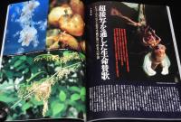 97アニマ 動物写真の世界　星野道夫の世界/海の動物たちの食生活/西表島 カンムリワシ