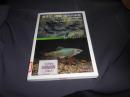 見えない脅威”国内外来魚“‐どう守る地域の生物多様性-叢書・イクチオロギア3