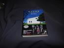 幸せな家族  そしてその頃はやった唄 中公文庫す31-1