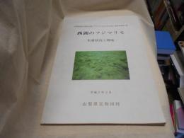 西湖のフジマリモ : 生育状況と環境 山梨県指定天然記念物「フジマリモ及び生息地」調査事業報告書