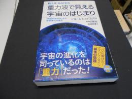 重力波で見える宇宙のはじまり 「時空のゆがみ」から宇宙進化を探る (ブルーバックス) 新書 