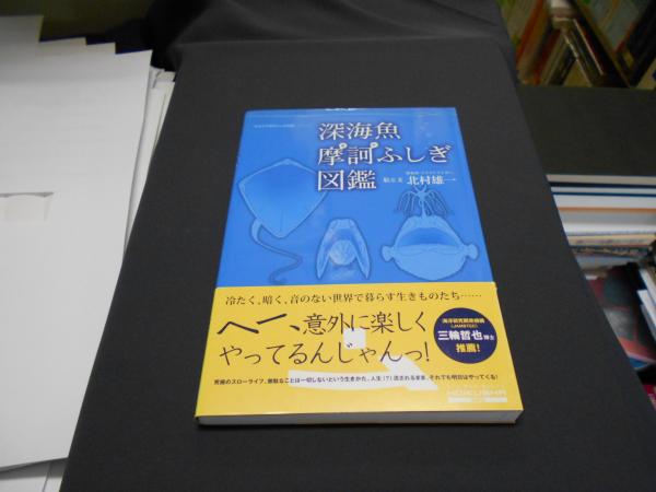 深海魚摩訶ふしぎ図鑑 生きもの摩訶ふしぎ図鑑 シリーズ 北村雄一 絵 文 セカンズ 古本 中古本 古書籍の通販は 日本の古本屋 日本の古本屋