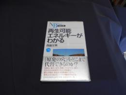 再生可能エネルギーがわかる ＜日経文庫 NIKKEI BUNKO 1255＞