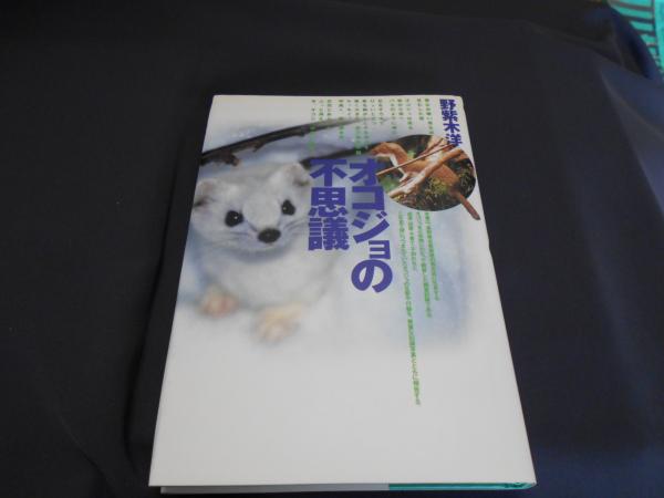 【中古】 オコジョの不思議/どうぶつ社/野紫木洋 オコジョの不思議 | 野紫木 洋 |本 | 通販 | Amazon