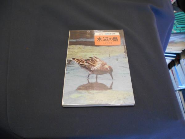 水辺の鳥 カラー自然ガイド9 小林桂助 セカンズ 古本 中古本 古書籍の通販は 日本の古本屋 日本の古本屋