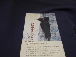 クマゲラにまつわる記憶　　1500部限定