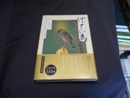 けさの鳥   日本の鳥３３３種