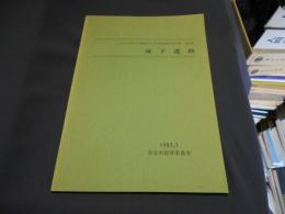 城下遺跡 ＜埼玉県深谷市埋蔵文化財発掘調査報告書 第6集＞