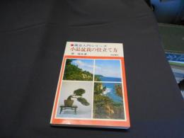 小品盆栽の仕立て方 ＜園芸入門シリーズ＞