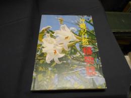 沖縄の自然　植物誌　カラー百科シリーズ7