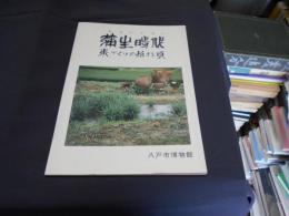 弥生時代　米づくりの始まる頃　図録