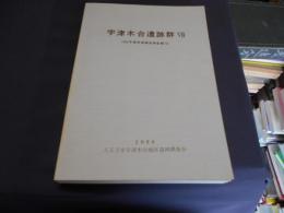 宇津木台遺跡群　Ⅶ　1982年度発掘調査報告書　2