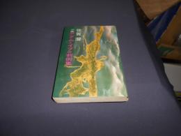 小説　アダムとイブの判例集　新書