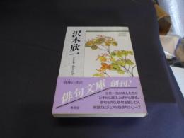 沢木欣一 : 自選三百句 ＜俳句文庫＞