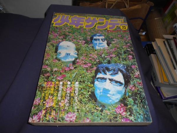 地域政策アセスメント : 自治体政策のセカンドオピニオン(梶原