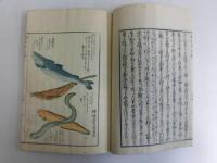 納沙布日誌