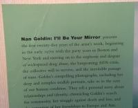I'll Be Your Mirror