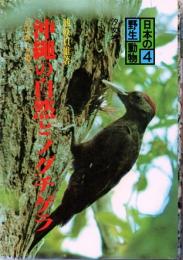 シリーズ日本の野生動物　4　沖縄の自然とノグチゲラ　「幻の鳥」を追って