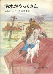 洪水がやってきた　　岩波少年少女の本23