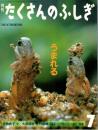 うまれる　たくさんのふしぎ　1991年7月号　76号