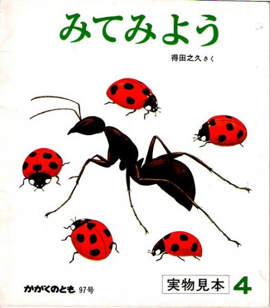 こんちゅうのからだ　みてみよう　日本の古本屋　なちぐろ堂　古本、中古本、古書籍の通販は「日本の古本屋」　かがくのとも　（１９７７年４月号）　通巻９７号　※折り込み付ろくあり(得田之久)