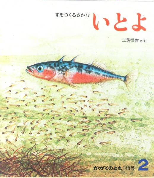 すをつくるさかな　いとよ　　かがくのとも　通巻１４３号　（１９８１年２月号）　u203b折り込みふろくあり