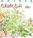 たねがとぶ　かがくのとも　通巻２１７号　（１９８７年４月号）