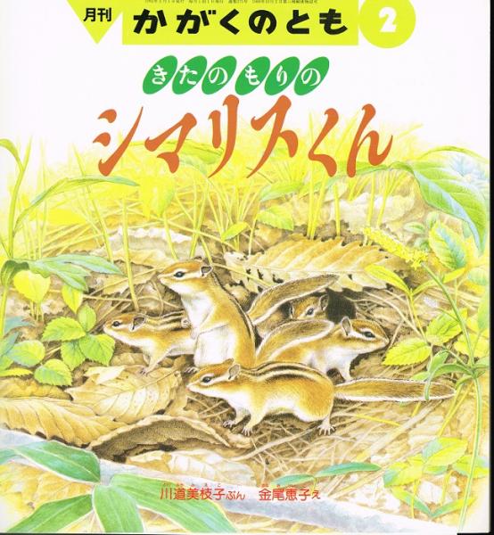きたのもりの シマリスくん かがくのとも 通巻２７５号 １９９２年２月号 折り込みふろくあり 川道美枝子 文 金尾恵子 絵 なちぐろ堂 古本 中古本 古書籍の通販は 日本の古本屋 日本の古本屋