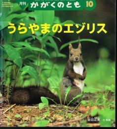 うらやまのエゾリス　かがくのとも　通巻４１５号　（２００３年１０月号）
