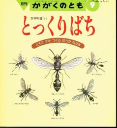 とっくりばち　どろですをつくるはちのなかま　かがくのとも　通巻２４６号　（１９８６年９月号）　※折り込みふろくあり