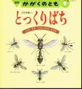 とっくりばち　どろですをつくるはちのなかま　かがくのとも　通巻２４６号　（１９８６年９月号）　※折り込みふろくあり