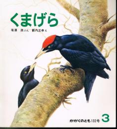 くまげら　かがくのとも　通巻１３２号　（１９８０年３月号）