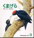 くまげら　かがくのとも　通巻１３２号　（１９８０年３月号）