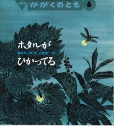 ホタルがひかってる　かがくのとも　通巻３２７号　（１９９６年６月号）　※折り込みふろくあり