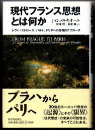 現代フランス思想とは何か　レヴィ＝ストロース、バルト、デリダへの批判的アプローチ