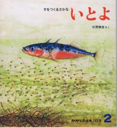 すをつくるさかな　いとよ　かがくのとも　通巻１４３号　（１９８１年２月号）