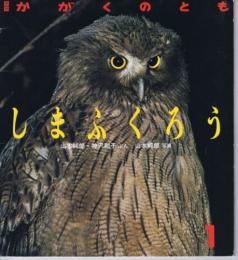 しまふくろう　かがくのとも　２３８号（１９８９年１月号）　※折り込みふろくあり