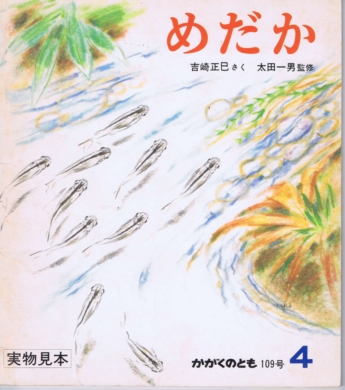 多文化世界 原書第3版 違いを学び未来への道を探る(G