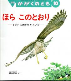 ほら　このとおり　とりのにげかたいろいろ かがくのとも　通巻３５５号　（１９９８年１０月号）