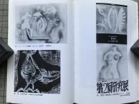 小谷博貞 未開の眼 北海道立近代美術館編 ミュージアム新書17